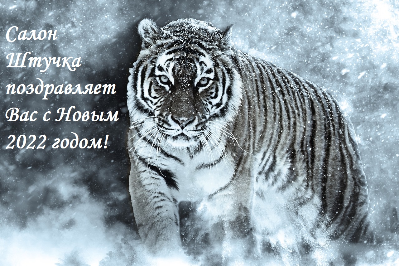 1 tiger